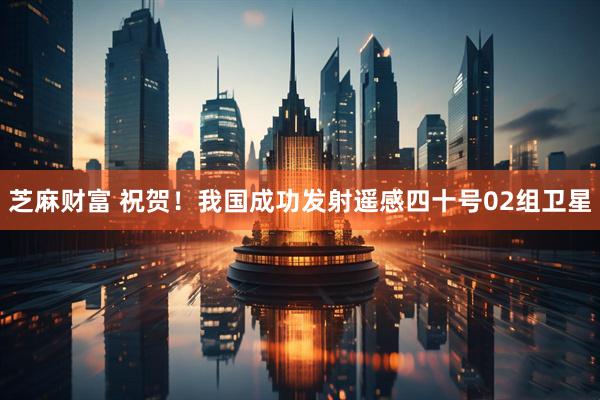 芝麻财富 祝贺！我国成功发射遥感四十号02组卫星