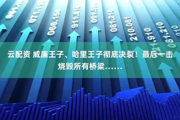 云配资 威廉王子、哈里王子彻底决裂！最后一击烧毁所有桥梁……