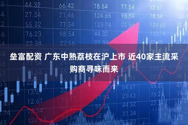 垒富配资 广东中熟荔枝在沪上市 近40家主流采购商寻味而来