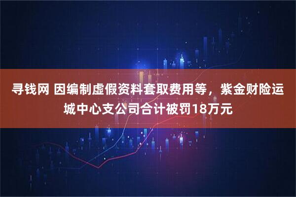 寻钱网 因编制虚假资料套取费用等，紫金财险运城中心支公司合计被罚18万元