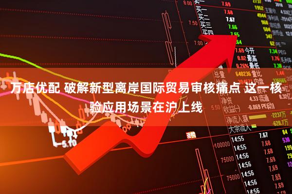 万店优配 破解新型离岸国际贸易审核痛点 这一核验应用场景在沪上线