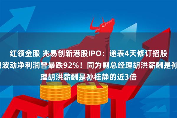 红领金服 兆易创新港股IPO：递表4天修订招股书，业绩剧烈波动净利润曾暴跌92%！同为副总经理胡洪薪酬是孙桂静的近3倍