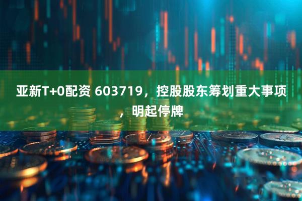 亚新T+0配资 603719，控股股东筹划重大事项，明起停牌