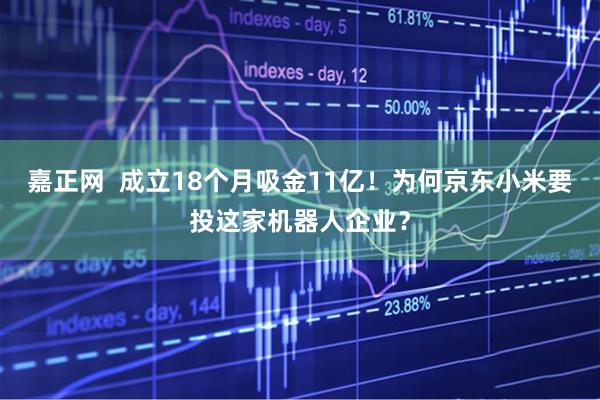 嘉正网  成立18个月吸金11亿！为何京东小米要投这家机器人企业？