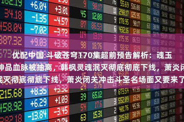 优配中国 斗破苍穹170集超前预告解析：魂玉抢夺菩提三宝失败惨遭神品血脉被抽离，韩枫灵魂泯灭彻底彻底下线，萧炎闭关冲击斗圣名场面又要来了！