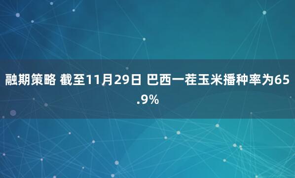 融期策略 截至11月29日 巴西一茬玉米播种率为65.9%