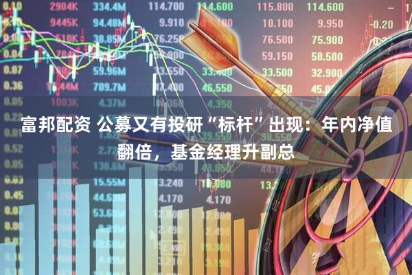 富邦配资 公募又有投研“标杆”出现:年内净值翻倍,基金经理升副总